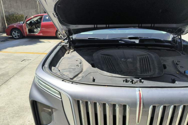 Used Hongqi E-HS9 2021 510 km Range Flagway Edition Six Seats Engine Bay Right