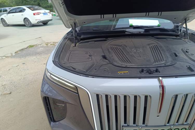 Used Hongqi E-HS9 2021 510 km Range Flagway Edition Six Seats Engine Bay Right