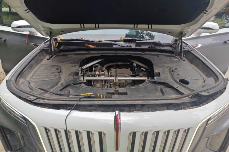 Used Hongqi E-HS9 2021 510 km Flagship Edition Four Seats Engine Bay