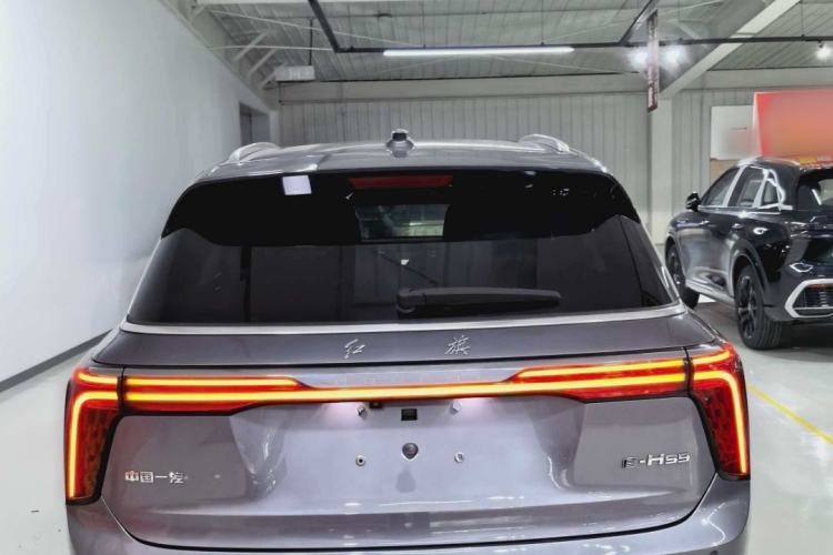Used Hongqi E-HS9 2021 460 km Range Flagship Edition Six-Seater Exterior 3