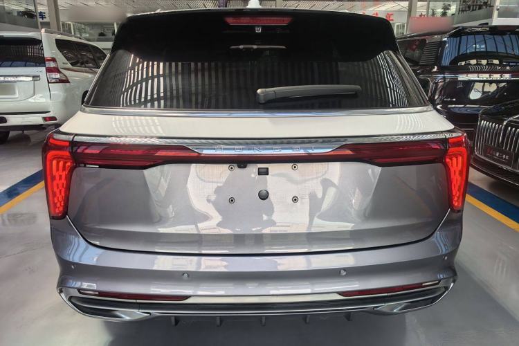 Used Hongqi E-HS9 2021 510 km Range Flagway Edition Six Seats Exterior 4