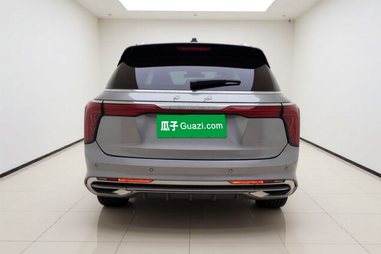 Used Hongqi E-HS9 2021 510 km Range Flagway Edition Six Seats Exterior 4