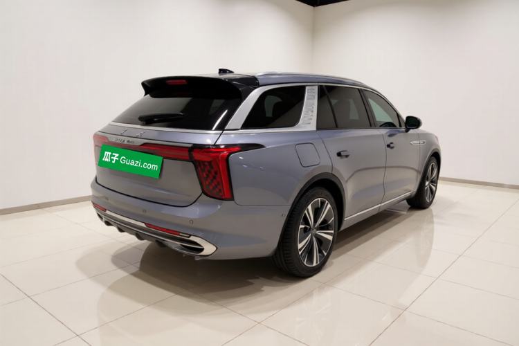Used Hongqi E-HS9 2021 510 km Range Flagway Edition Six Seats Exterior 5