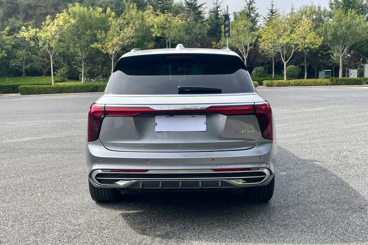 Used Hongqi E-HS9 2021 460 km Range Flagship Edition Six-Seater Exterior 5