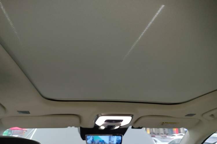 Used Hongqi E-HS9 2021 510 km Flagship Edition Four Seats Headliner
