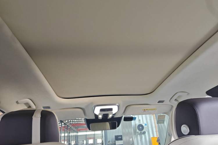 Used Hongqi E-HS9 2021 510 km Flagship Edition Four Seats Headliner