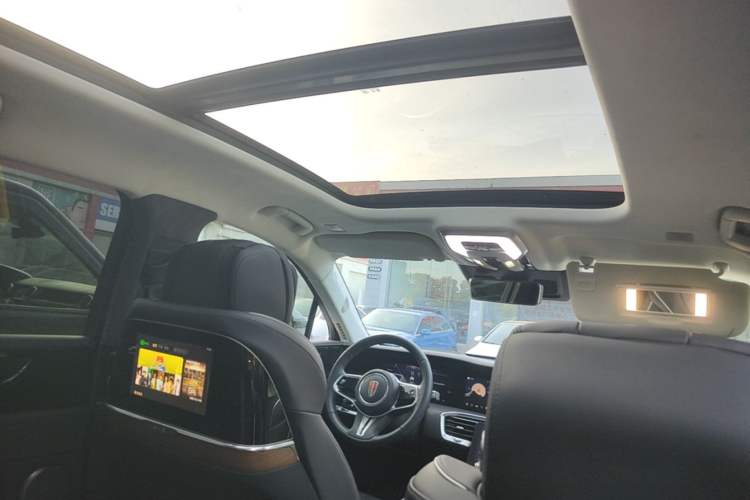 Used Hongqi E-HS9 2021 510 km Flagship Edition Four Seats Headliner