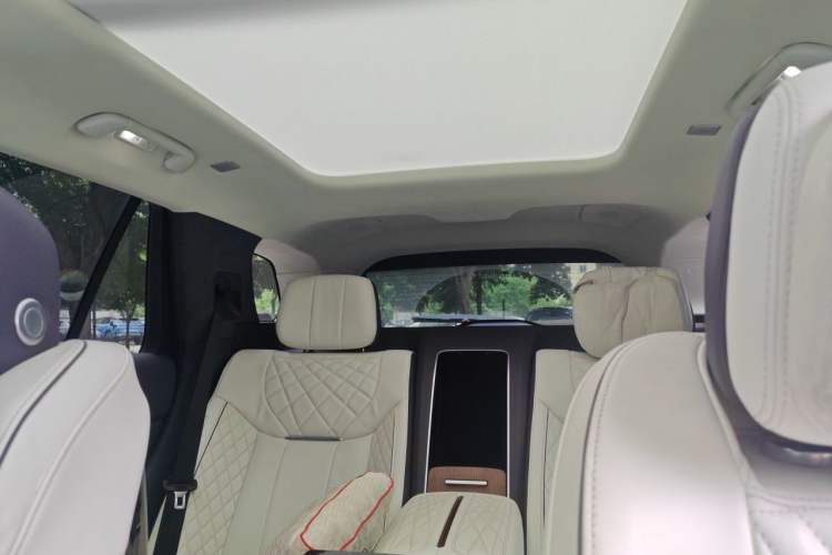Used Hongqi E-HS9 2021 510 km Flagship Edition Four Seats Headliner