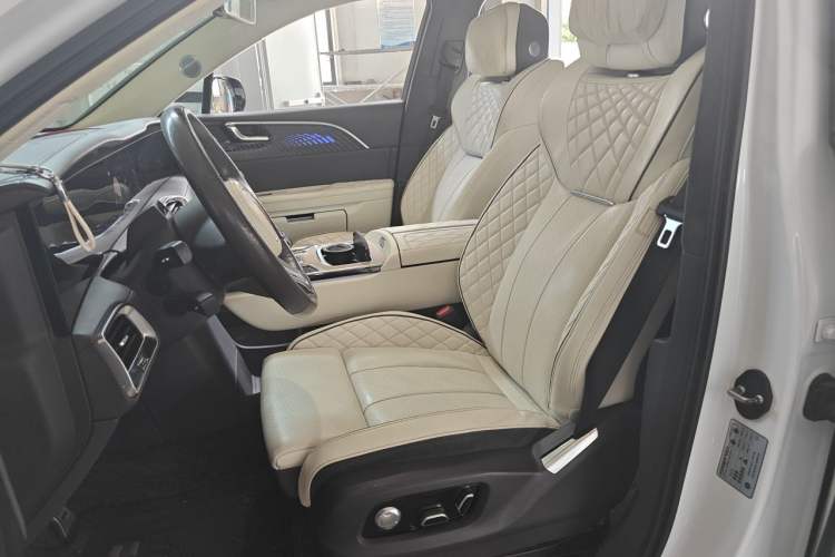 Used Hongqi E-HS9 2021 510 km Flagship Edition Four Seats Left Front Seat
