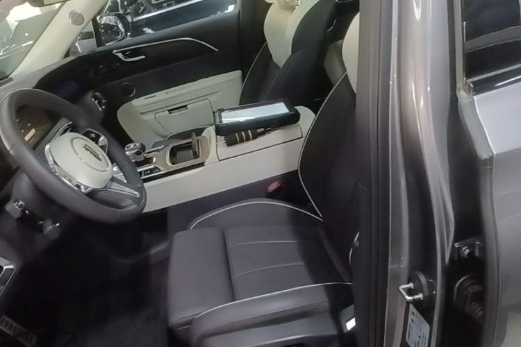 Used Hongqi E-HS9 2021 460 km Range Flagship Edition Six-Seater Left Front Seat