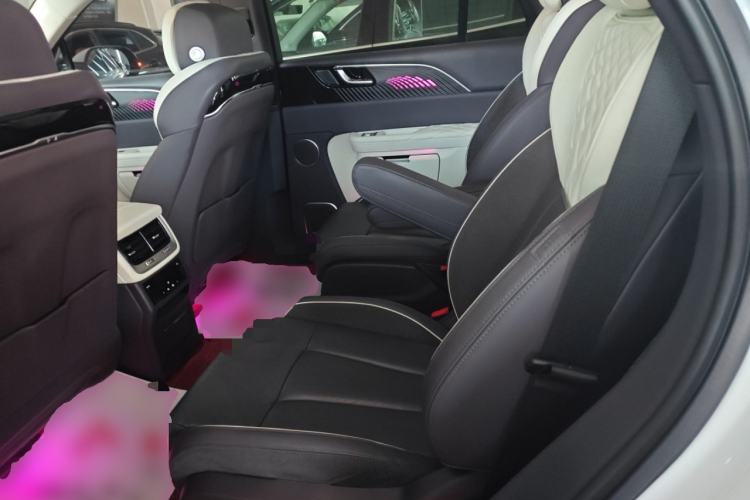 Used Hongqi E-HS9 2021 460 km Range Flagship Edition Six-Seater Left Rear Seat