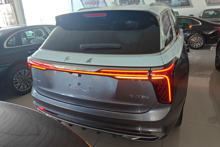 Used Hongqi E-HS9 2021 460 km Range Flagship Edition Six-Seater Rear