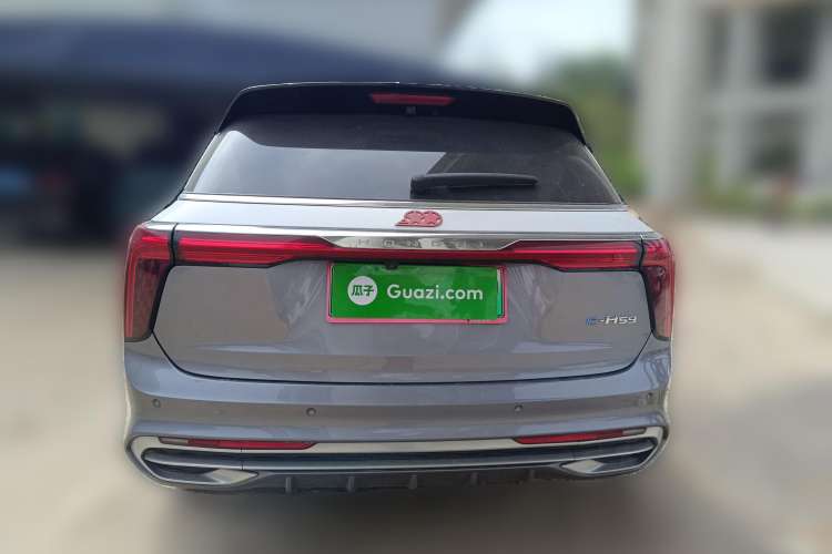 Used Hongqi E-HS9 2021 510 km Range Flagway Edition Six Seats Rear