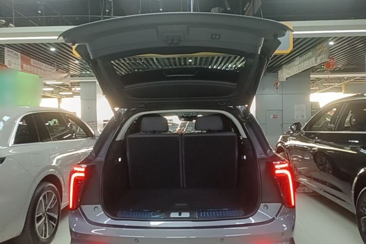 Used Hongqi E-HS9 2021 460 km Range Flagship Edition Six-Seater Trunk