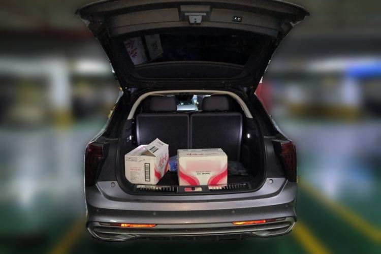 Used Hongqi E-HS9 2021 510 km Range Flagway Edition Six Seats Trunk