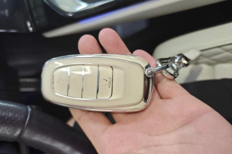 Used Hongqi E-HS9 2021 510 km Flagship Edition Four Seats Vehicle Key