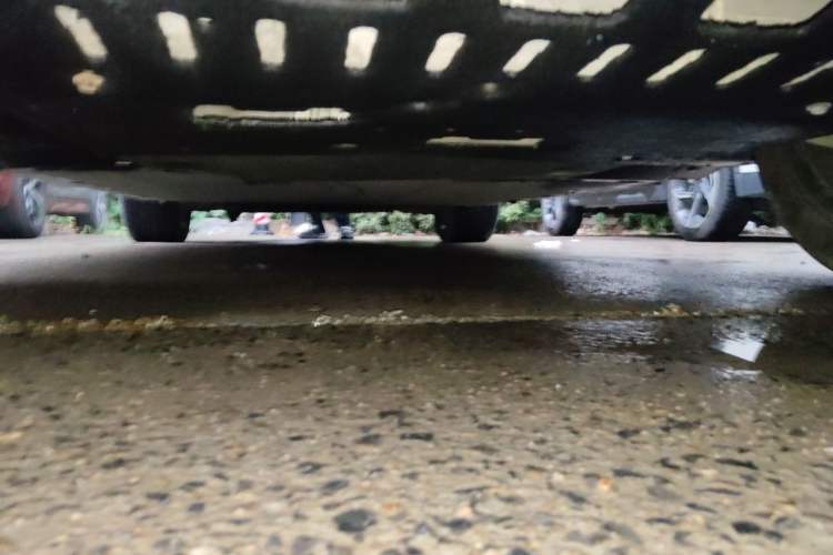 Used Hongqi E-HS9 2021 460 km Range Flagship Edition Six-Seater Chassis Rear