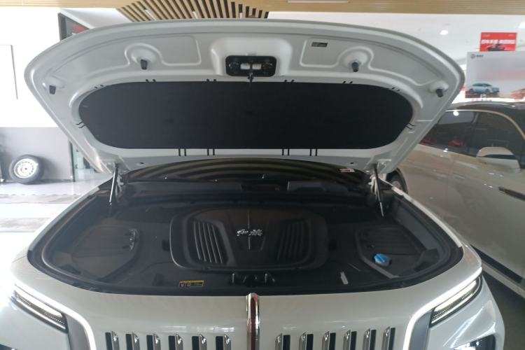 Used Hongqi E-HS9 2021 510 km Range Flagway Edition Six Seats Engine Bay