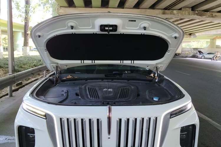 Used Hongqi E-HS9 2021 460 km Range Flagship Edition Six-Seater Engine Bay