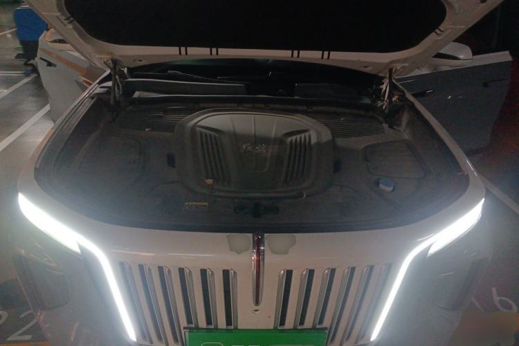 Used Hongqi E-HS9 2021 510 km Range Flagway Edition Six Seats Engine Bay