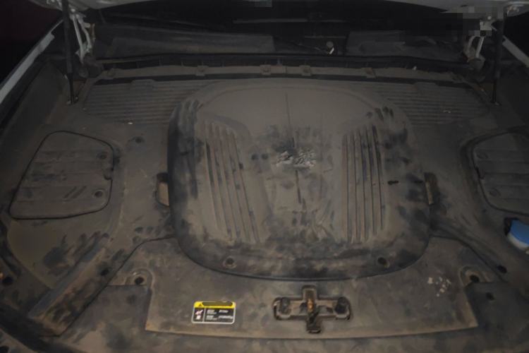 Used Hongqi E-HS9 2021 510 km Range Flagway Edition Six Seats Engine Bay