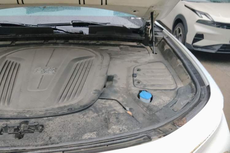 Used Hongqi E-HS9 2021 460 km Range Flagship Edition Six-Seater Engine Bay Left