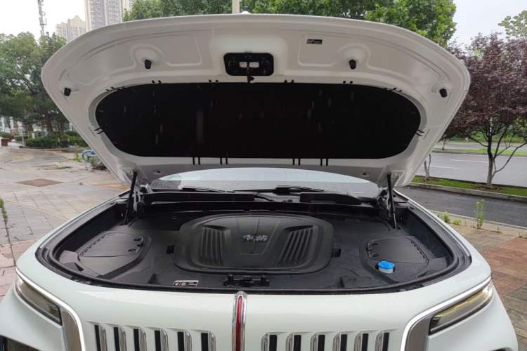 Used Hongqi E-HS9 2021 510 km Range Flagway Edition Six Seats Engine Bay