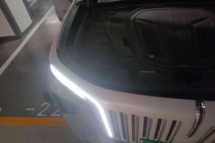 Used Hongqi E-HS9 2021 510 km Range Flagway Edition Six Seats Engine Bay Right