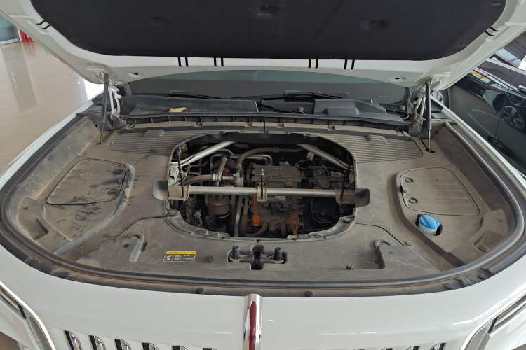 Used Hongqi E-HS9 2021 510 km Range Flagway Edition Six Seats Engine Bay