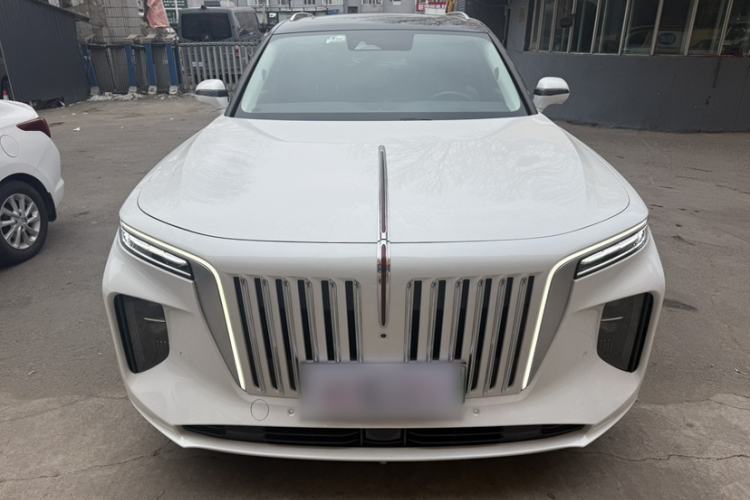 Used Hongqi E-HS9 2021 510 km Range Flagway Edition Six Seats Exterior 1