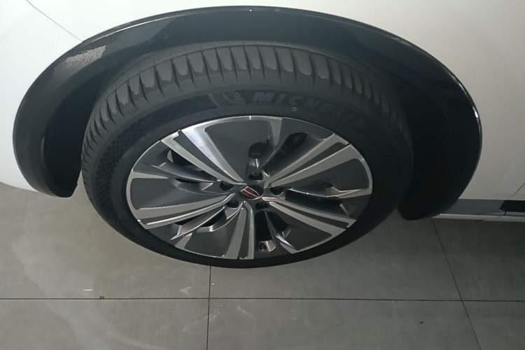 Used Hongqi E-HS9 2021 510 km Range Flagway Edition Six Seats Exterior 4