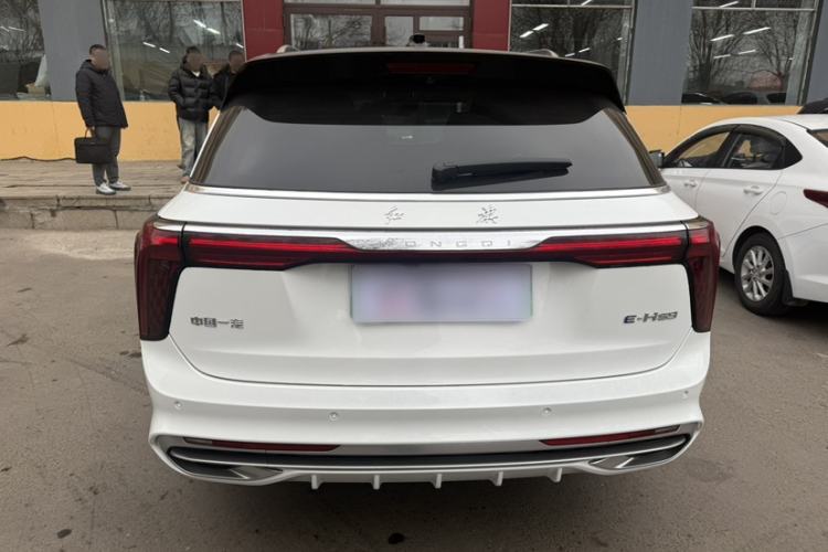 Used Hongqi E-HS9 2021 510 km Range Flagway Edition Six Seats Exterior 4
