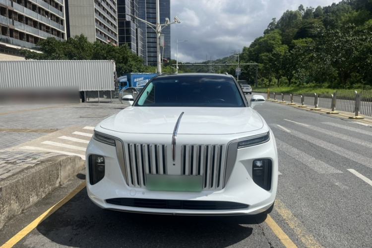 Used Hongqi E-HS9 2021 510 km Range Flagway Edition Six Seats Exterior 4