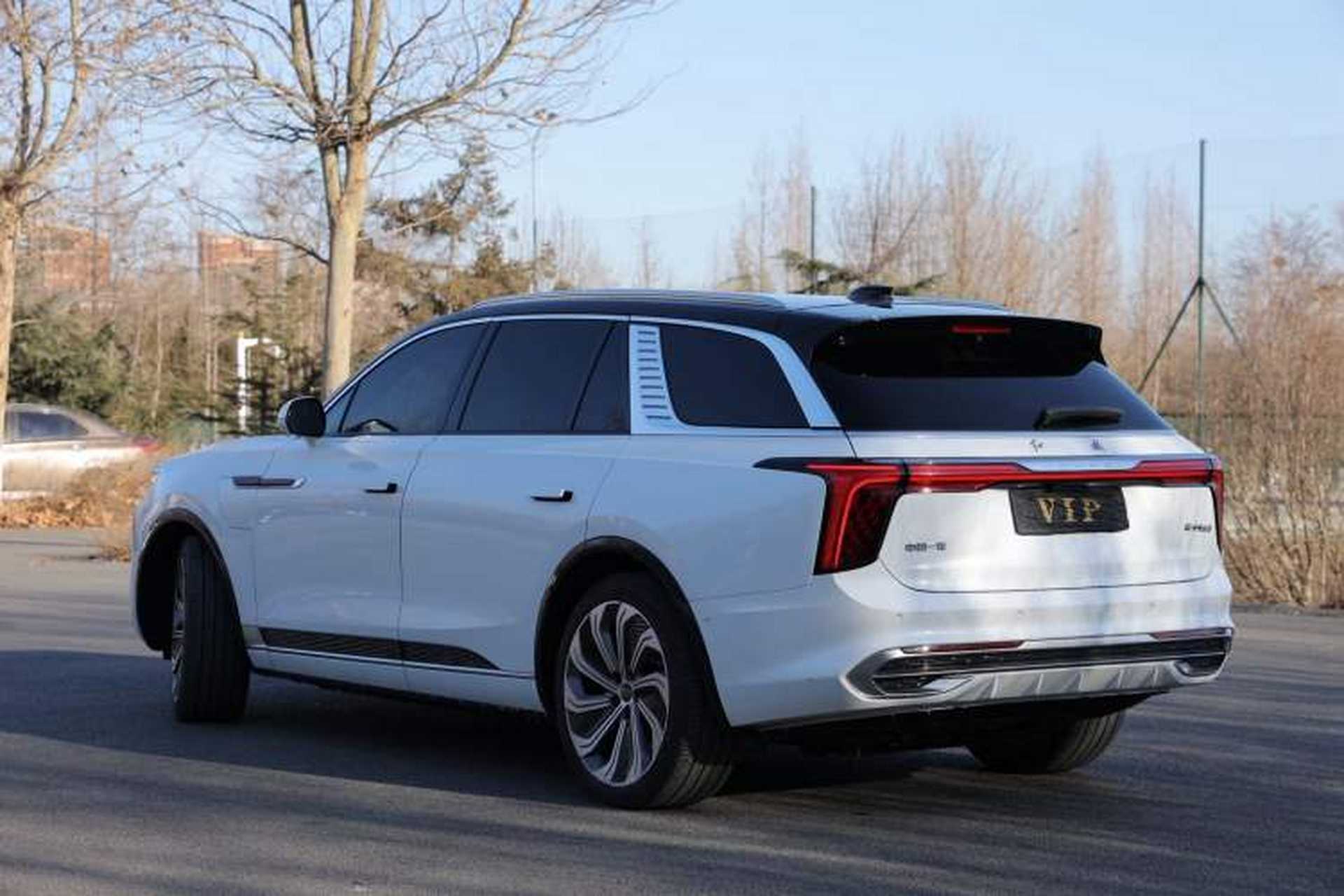 Used Hongqi E-HS9 2021 510 km Flagship Edition Four Seats Exterior 4