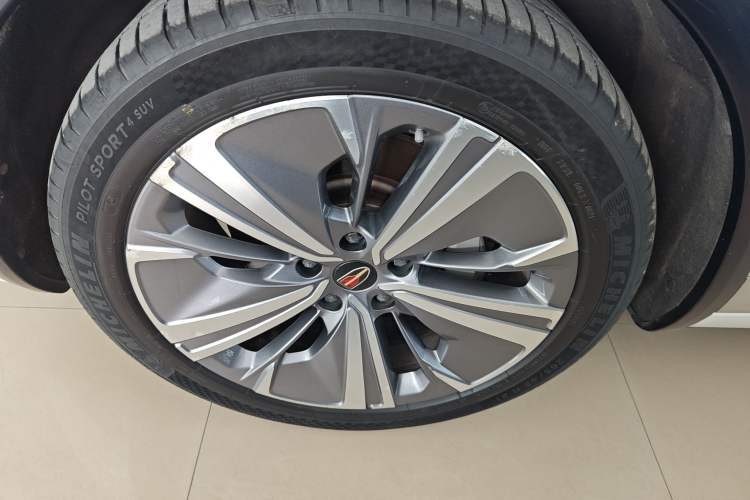 Used Hongqi E-HS9 2021 510 km Range Flagway Edition Six Seats Exterior 4