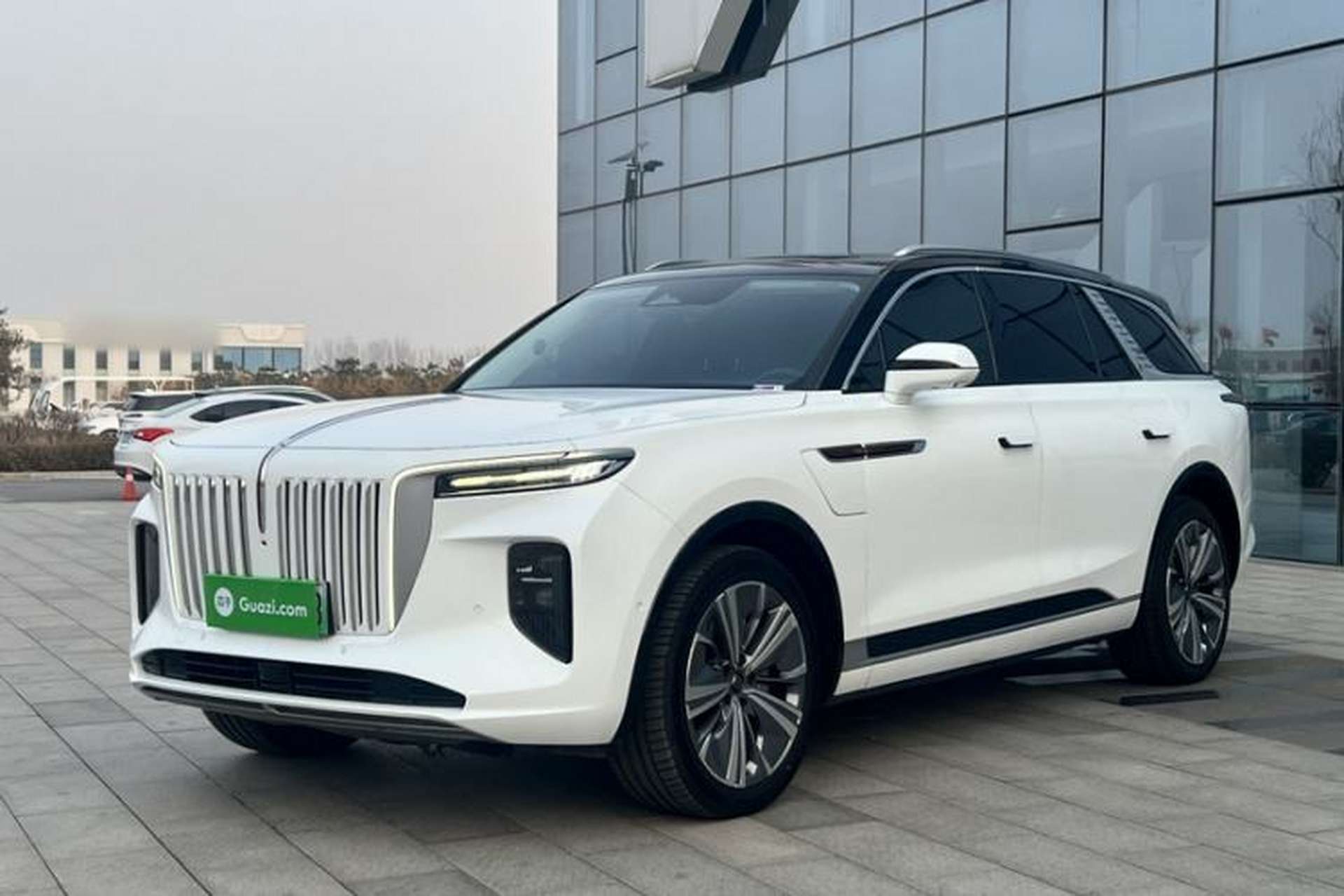 Used Hongqi E-HS9 2021 510 km Range Flagway Edition Six Seats Exterior 5