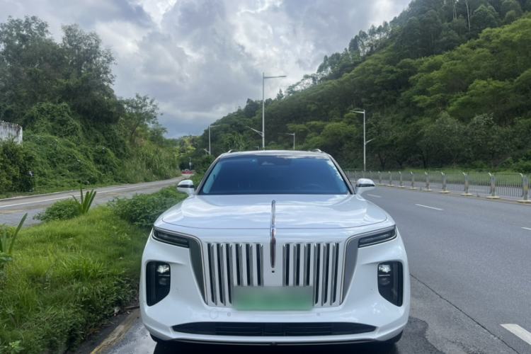 Used Hongqi E-HS9 2021 510 km Range Flagway Edition Six Seats Exterior 6