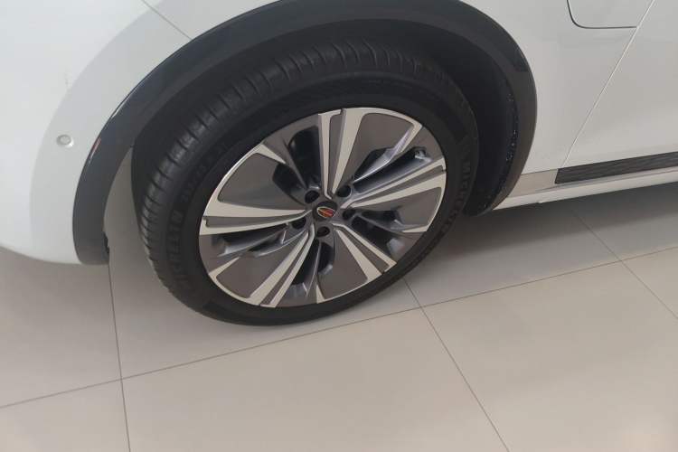 Used Hongqi E-HS9 2021 510 km Range Flagway Edition Six Seats Exterior 7