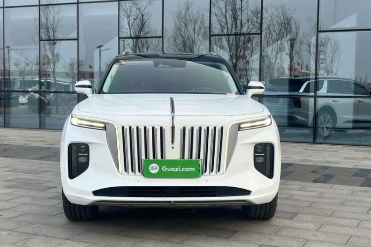 Used Hongqi E-HS9 2021 510 km Range Flagway Edition Six Seats Exterior 9