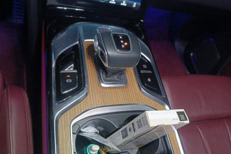 Used Hongqi E-HS9 2021 510 km Range Flagway Edition Six Seats Gear Lever