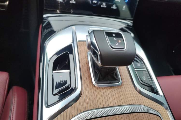 Used Hongqi E-HS9 2021 510 km Range Flagway Edition Six Seats Gear Lever