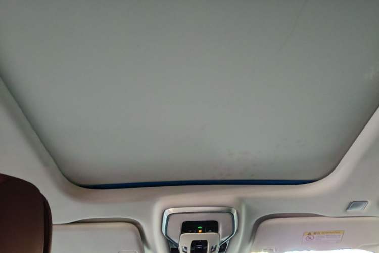 Used Hongqi E-HS9 2021 460 km Range Flagship Edition Six-Seater Headliner