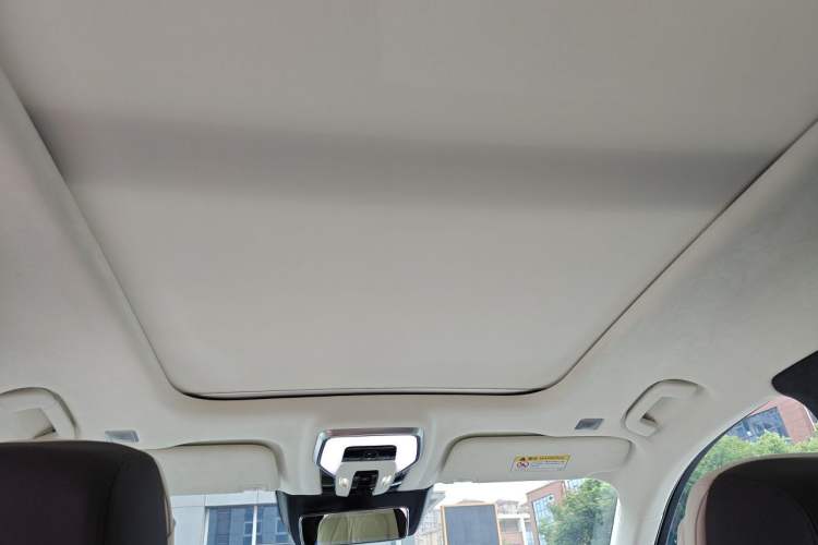 Used Hongqi E-HS9 2021 510 km Flagship Edition Four Seats Headliner
