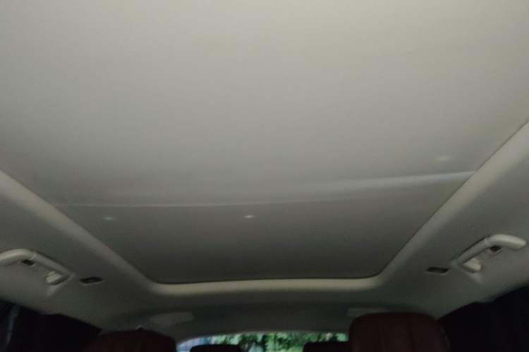 Used Hongqi E-HS9 2021 460 km Range Flagship Edition Six-Seater Headliner