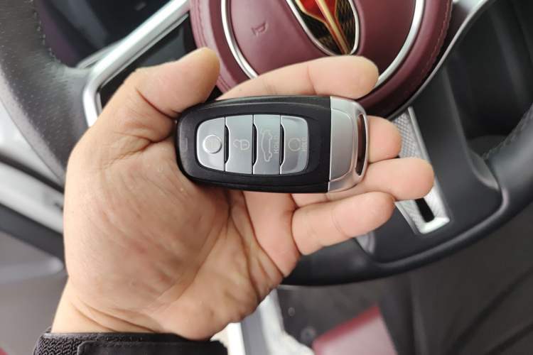 Used Hongqi E-HS9 2021 460 km Range Flagship Edition Six-Seater Interior 1