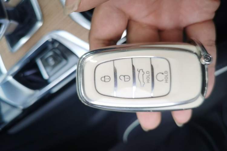 Used Hongqi E-HS9 2021 460 km Range Flagship Edition 7-Seater Interior 1