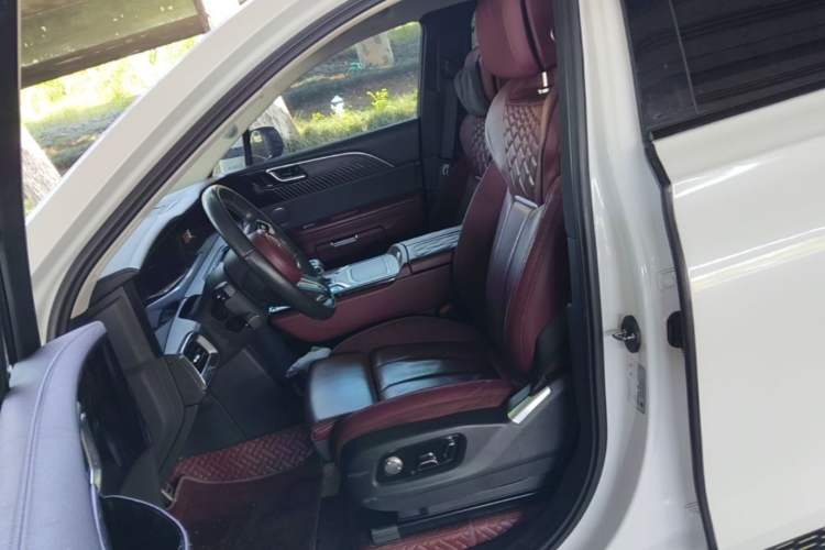 Used Hongqi E-HS9 2021 460 km Range Flagship Edition Six-Seater Left Front Seat