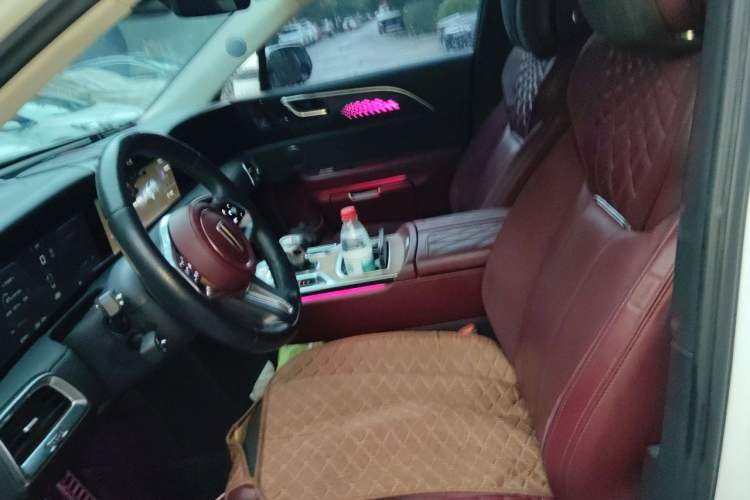 Used Hongqi E-HS9 2021 460 km Range Flagship Edition Six-Seater Left Front Seat