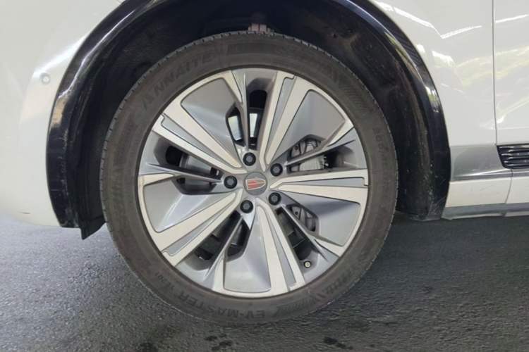 Used Hongqi E-HS9 2021 460 km Range Flagship Edition Six-Seater Left Front Wheel Hub