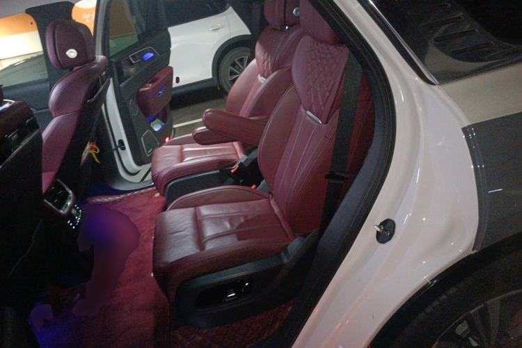 Used Hongqi E-HS9 2021 510 km Range Flagway Edition Six Seats Left Rear Seat